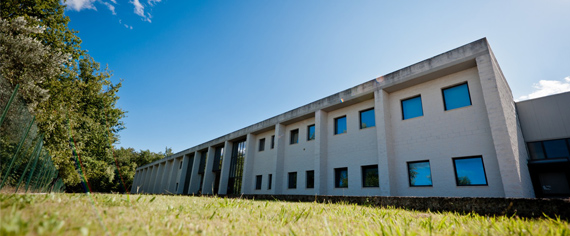 azienda